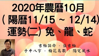 【古柏論命-張古柏】2020年農曆10月(陽曆11/15 ~ 12/14)生肖八字流月運勢分享 (二) 兔、龍、蛇