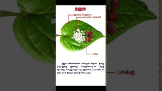 நவக்கிரக பரிகாரம்#உடல் #tamil #samayalaraitips #beautyadvice #உணவு #love #tamilhealthtipstamil