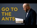 Go to the Ants | Toby Sumpter (Collegiate Reformed Fellowship)