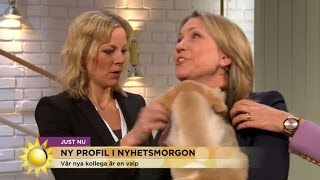 Hoppsan! - här tappar hon valpen i direktsändning - Nyhetsmorgon (TV4)