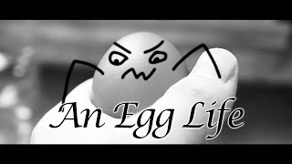 An Egg Life | Stop Motion Animated Short Film