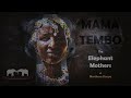 The mammoth task of being a Mama Tembo (elephant mother)