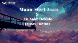 Maan Meri Jaan x Tu Aake Dekhle [ Slowed + Reverb ] |  Mashup Song | Lofi | Feellyrical