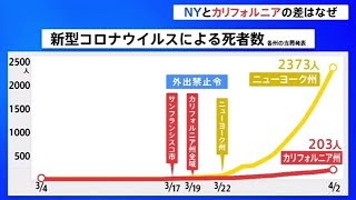 ＮＹとカリフォルニアの差はなぜ、米 新型コロナ拡大