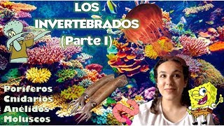 Animales invertebrados PARTE I (Poríferos, cnidarios, anélidos y moluscos) - Bio[ESO]sfera. 1º ESO