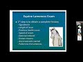 lameness in horses