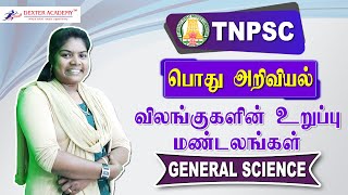 TNPSC : பொது அறிவியல் விளக்குகளின் உறுப்பு மண்டலங்கள் முக்கிய வினாக்கள் | General Science Question