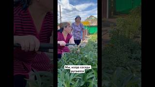 Мы, когда соседи ругаются #весёлоевидео #жиза #юмор #хорошеенастроение #соседи