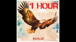 Free Bird - 1 hour version - MOONLGHT Remix