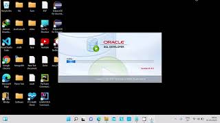 How to install SQL Developer 21.4 on Windows 10/11
