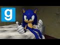 Sonic Gets Annoyed by Amy! (Gmod Animation)