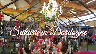 Christmas at a Gardening shop in French Countryside ❘ Seeking decoration ideas～VLOG#72