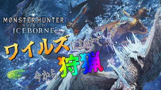 【復帰勢が行く！！！】#20 ソロでミラボレアス初討伐に永遠挑む配信part2【MHW : IB】