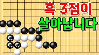 사활 바둑 묘수 - 귀에 3점이 살아나는 묘수를 찾아보세요! #바둑 #사활 #바둑강좌