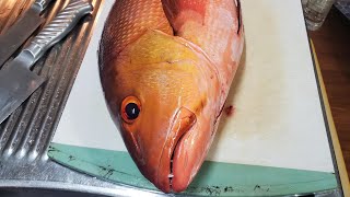 【シガテラ毒】毒を持っているかもしれないバラフエダイ(アカナー)を食べてみた…