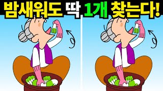 노화로 죽어버린 뇌세포도 되돌아옵니다! 한개만 찾아도 대박![틀린그림찾기/치매예방] #911