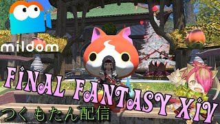 【FF14】レベリングと素材集め。【2024.7.20】