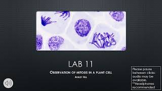 virtual lab report BIO 113