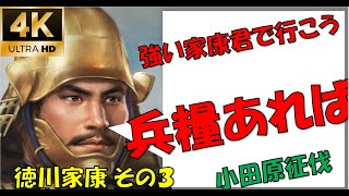 北関東からみちのくへ【新たな歴史を刻め】【小田原征伐】【徳川家康】【信長の野望大志PK】【3話】