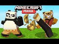 Minecraft Mania - KUNG FU, Sigma Face