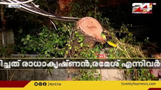 തൃശൂര്‍ പൂരത്തിനിടെ മരം വീണ് രണ്ട് മരണം; നിരവധി പേർക്ക് പരിക്ക്