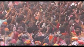 Indian dance in a frenzy: Holi at Gokul, Uttar Pradesh, with colour rife in the air (Slow motion 4K)