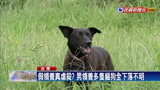 假領養真虐殺？男領養20多隻貓狗全下落不明－民視新聞