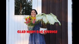 Mors Dag Sverige | Mothers Day In Sweden