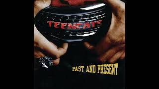 Teencats--Rock 'n' roll is king