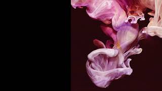 Simian Mobile Disco - Defender (Jas Shaw AFK Version)