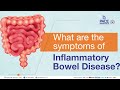 inflammatory bowel disease ibd causes symptoms treatment and prevention