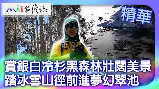 賞銀白冷杉黑森林壯闊美景 踏冰雪山徑前進夢幻翠池｜南投縣仁愛鄉 麥覺明【@ctvmit825集】