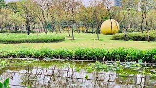 Lush Green Guangzhou 4K Walk Sharkmama - Shunfeng Mountain Wetland Botanical Park in spring time