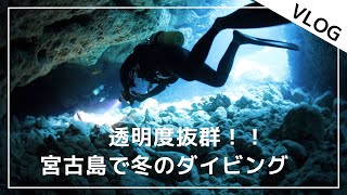 【透明度MAX】宮古島の本領発揮！洞窟ポイントはどこも最高（12/2-12/8）