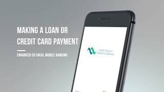 Make A Loan or CC Payment