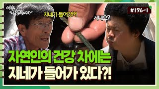 [자연인] 196-1 자연인의 건강 차에는 지네가 들어가 있다?!