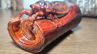 Carving cicadas and books for the first time