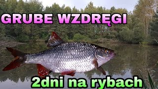 Staw w lesie- GRUBE WZDREGI 2dni na rybach*łowienie ryb*