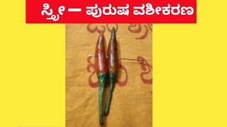 ಸ್ತ್ರೀ-ಪುರುಷ ವಶೀಕರಣ. ಎರಡು ಮೆಣಸಿನಕಾಯಿಯಿಂದ ಈ ತಂತ್ರವನ್ನು ಮಾಡಿ ನೋಡಿ ಇಷ್ಟ ಪಟ್ಟವರು ನಿಮ್ಮ ಬಳಿ ಬರುತ್ತಾರೆ.