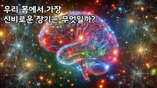 뇌는 왜 우리 몸에서 가장 신비로운 장기일까?