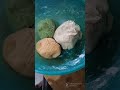 tiranga puri tricolour puri with healthy veggies yt shorts trending viral food