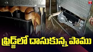 Snake rescued from back side of Refrigerator in Karnataka | Dhoom Dhaam Muchata | T News