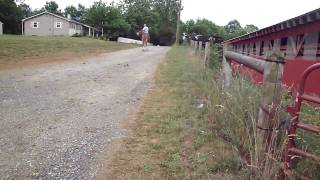 M4H06155.MP4