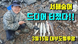 서해투망92편/대부도뻘투망 24년 첫 서해숭어 드디어 터졌다! [이반장]