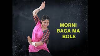 Morni Baga Ma Bole Aadhi Raat Ma performed by Bijal Parikh Maulik / Moments & Moves Studio