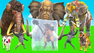 10 Mammoth Elephant Cow vs Super Bull vs Giant Gorilla Attack Baby Elephant Saved By Woolly Mammoth