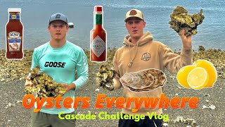Foraging Oysters in the Pacific Northwest (Hambone’s Vlogs)