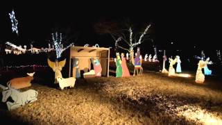 Christmas Lights in Cullman