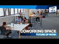 Coworking space — The future of work? | Stand for Truth