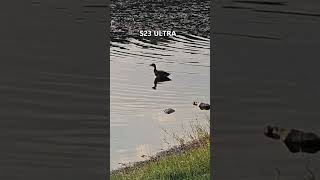 S23 Ultra VS IPhone 14 Pro Max - Video Test With Zoom